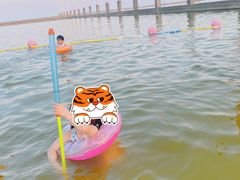 -碧海金沙