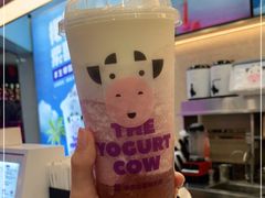 -一只酸奶牛(八一路店)