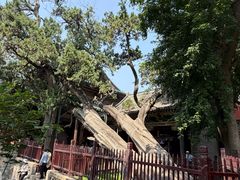 -晋祠博物馆