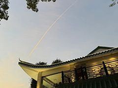 -侨美·唐荔园·40年地道粤菜