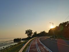 -西京湾花海