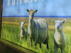 -京悦南门涮羊肉(长寿路店)