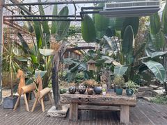 -桉树林A coffee 森林餐厅(三圣乡店)