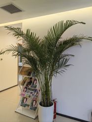 -丰联丽格医疗美容·联合丽格眼整形中心