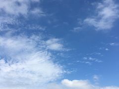 -星巴克(深圳音乐厅店)