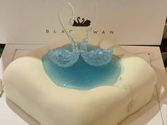 -BLACKSWAN黑天鹅(环球店)