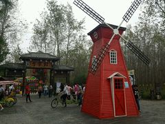 -合肥滨湖国家森林公园