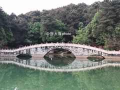 -铁山坪森林公园