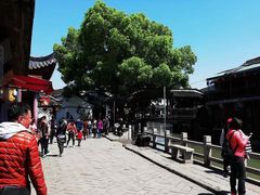 -老阿婆粽子(朱家角店)