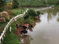 -美的鹭湖森林度假区