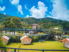 -海南槟榔谷黎苗文化旅游区
