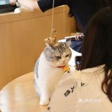 饮料咖啡都是无限畅饮的!可以玩一个下午的好去处