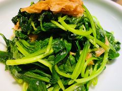 邹山腐皮鸡毛菜-竹外桃花·江南小酒馆(SKP·S店)