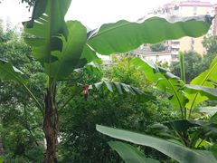-船政文化景区-罗星塔公园