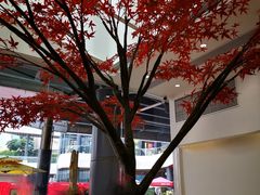 -艾薯夫妇Aysh(福田星河COCOPark店)