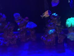 -网鱼网咖·电竞(中山友好广场店)