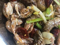 -辣盆盆麻辣小龙虾(哈尔滨总店)
