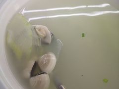 -范饭椰林川湘味海鲜·椰子鸡(三亚湾椰梦长廊店)