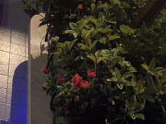 -骑士KTV(红谷滩万达店)