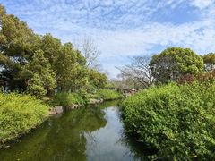 -上海滨江森林公园
