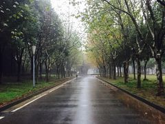 -南京奥林匹克体育中心-体育馆