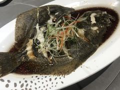 多宝鱼-神洲四海大酒楼(王府井澳门中心店)