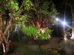 -Chom Cafe and Restaurant