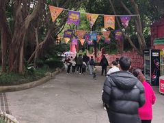 -南湖梦幻岛