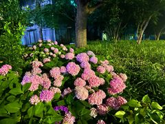 -钱塘江大桥