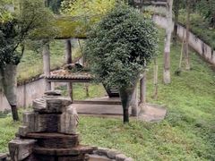 -中国大熊猫保护研究中心雅安碧峰峡基地