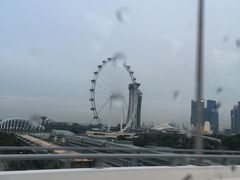 -新加坡摩天观景轮