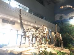 -自贡恐龙博物馆
