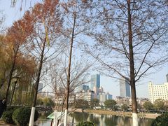 -宝岛公园