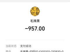 -毛辣果·酸(OHA复兴西路店)