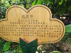 -呀路古热带植物园