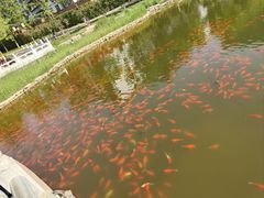 -西海子公园