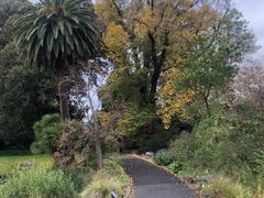 -墨尔本皇家植物园