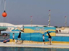 -秦皇岛乐岛海洋王国