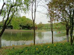 -上海鲜花港