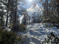 -瓦屋山景区