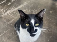 -北马山庄植趣咖啡