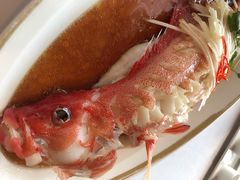 -金轩中餐厅 Jin Xuan(浦东丽思卡尔顿酒店)