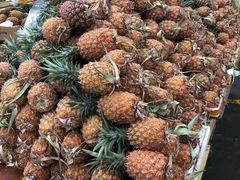 -三亚新鸿港水果一级批发市场