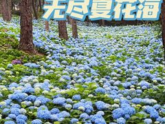 -临平公园(临平街道)