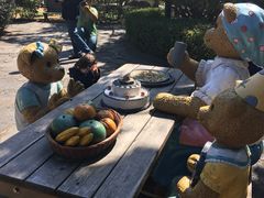 -济州岛泰迪熊博物馆