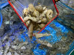 -前王院•巧克力海鲜市集餐厅(万平口店)