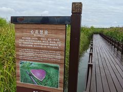 -宁波杭州湾国家湿地公园