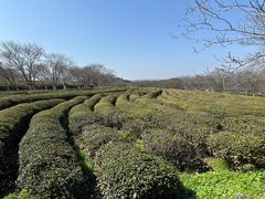 -凤凰沟景区
