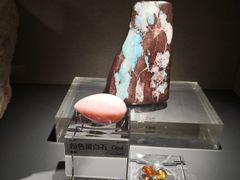 -中国地质博物馆