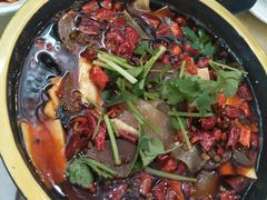 -成都驻京办餐厅(蜀都宾馆店)